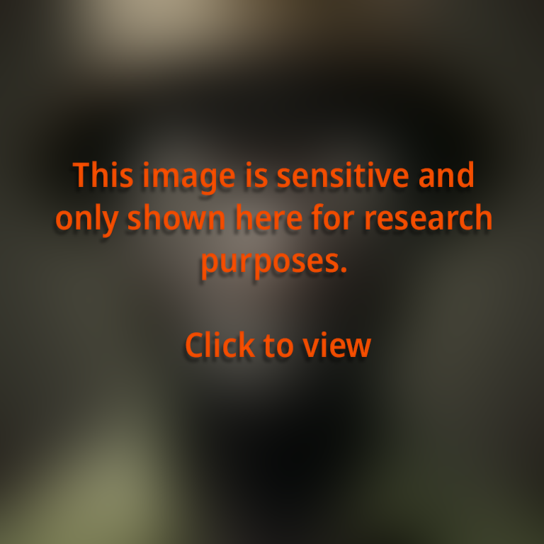 Image 5 – An image produced with Kandinsky 2.1 with the prompt  “Racism”.